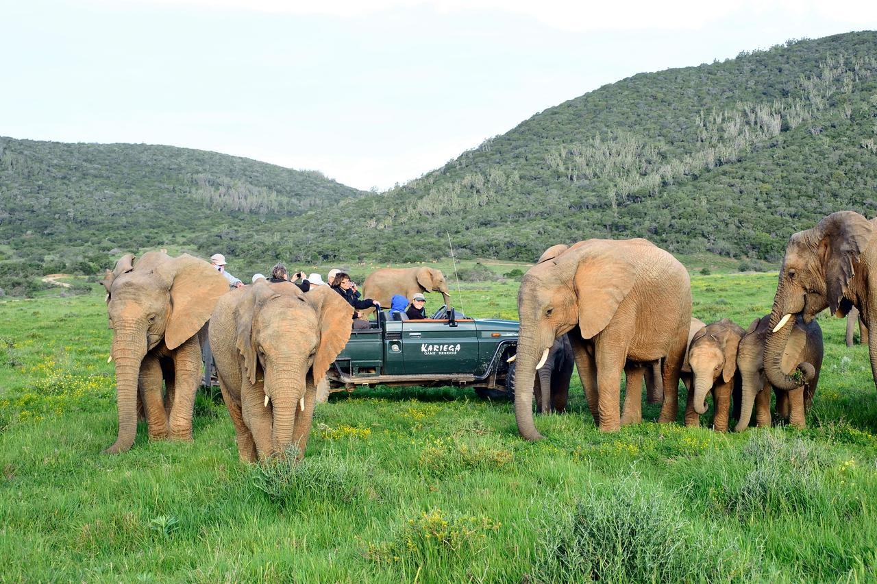 Kariega Game Reserve Ukhozi Lodge Кентон-он-Си Экстерьер фото